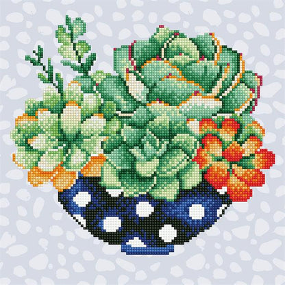 Diamond Dotz - Succulent Bowl - 32 x 32cm