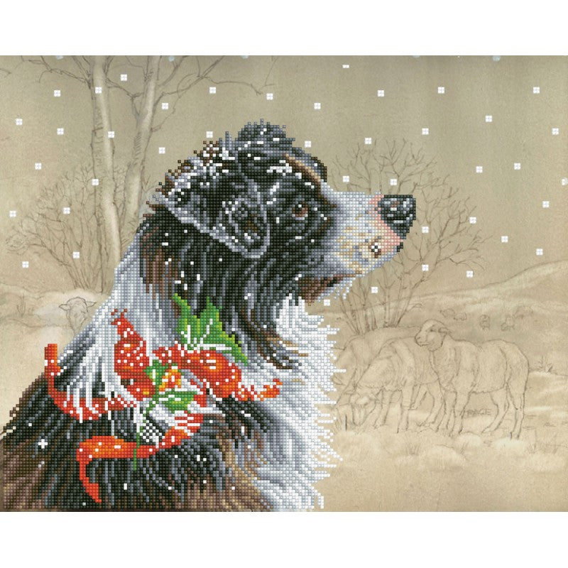 Diamond Dotz - Christmas Collie - 50 x 40cm